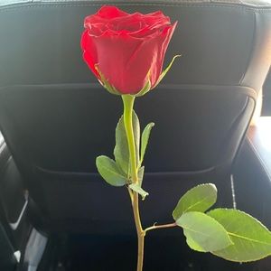 Meet your Posher, Sarahi